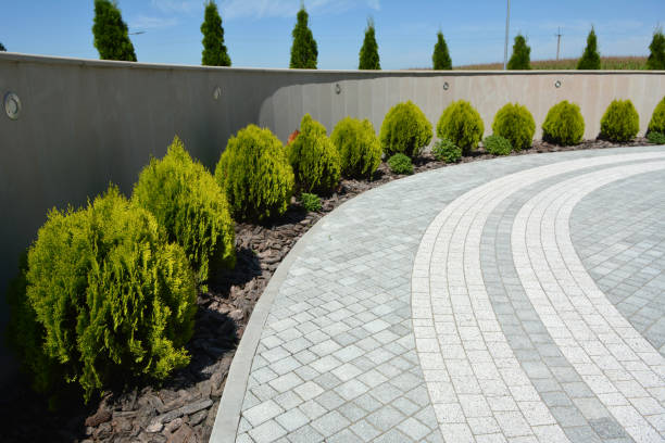 Reasons to Select Us for Your Driveway Paving Requirements in Folkston, GA